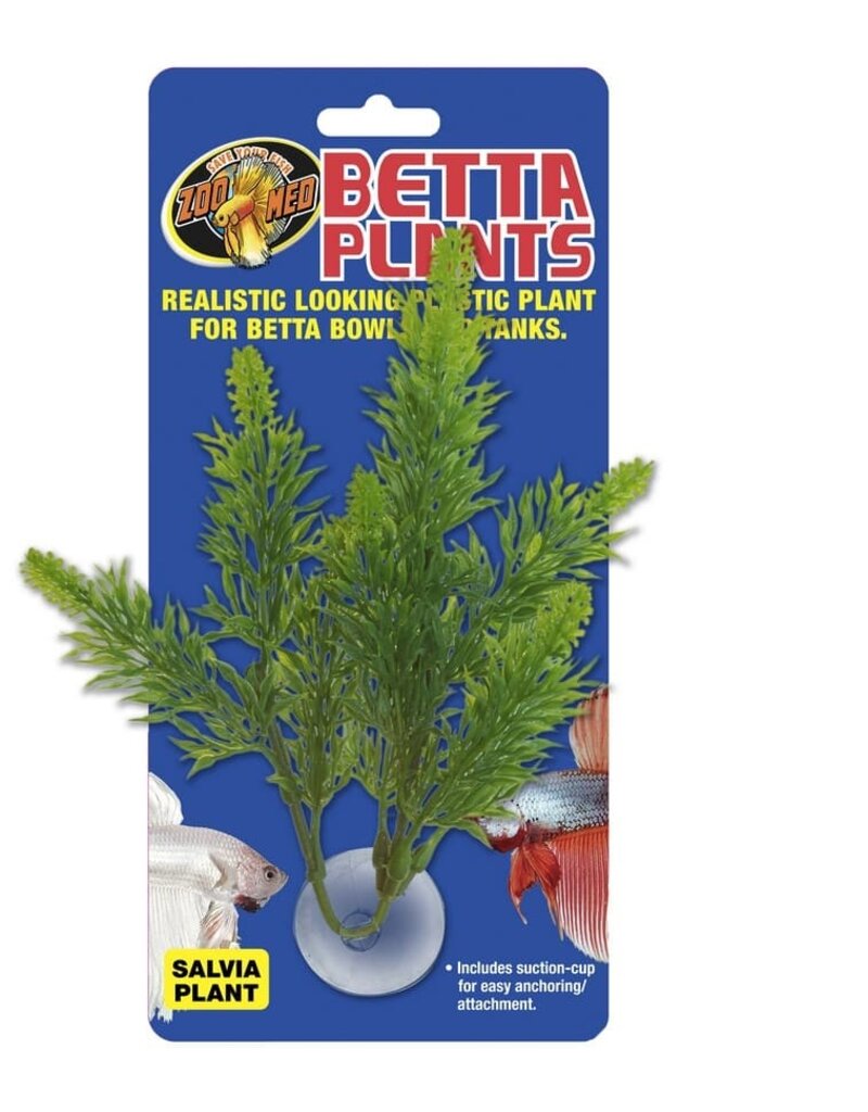 Zoo Med Zoo Med Betta Plant Salvia