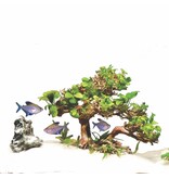 Zoo Med Zoo Med Dragon Bonsai