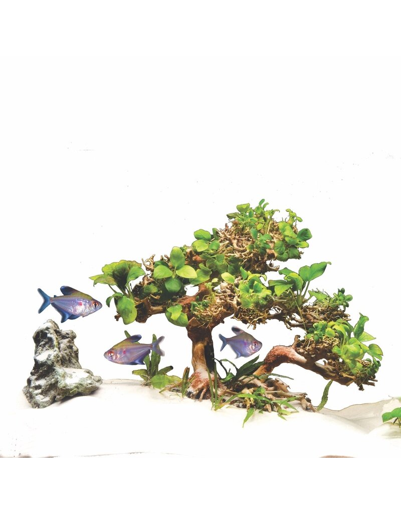 Zoo Med Zoo Med Dragon Bonsai