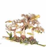 Zoo Med Zoo Med Dragon Bonsai