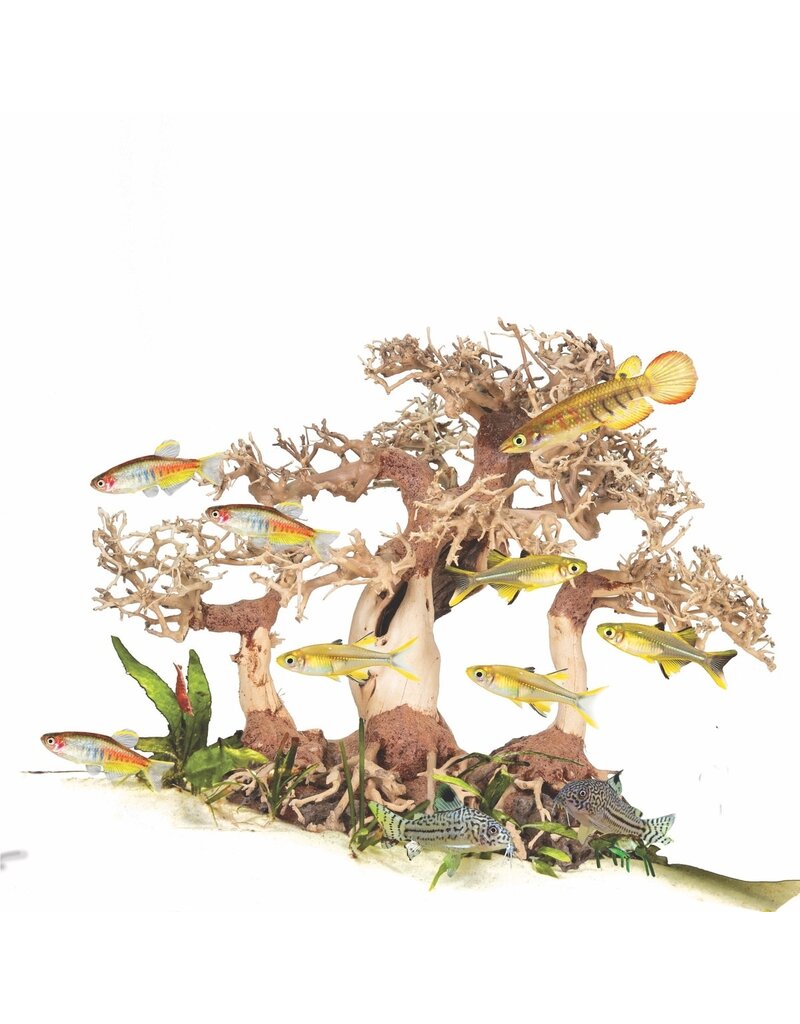 Zoo Med Zoo Med Dragon Bonsai