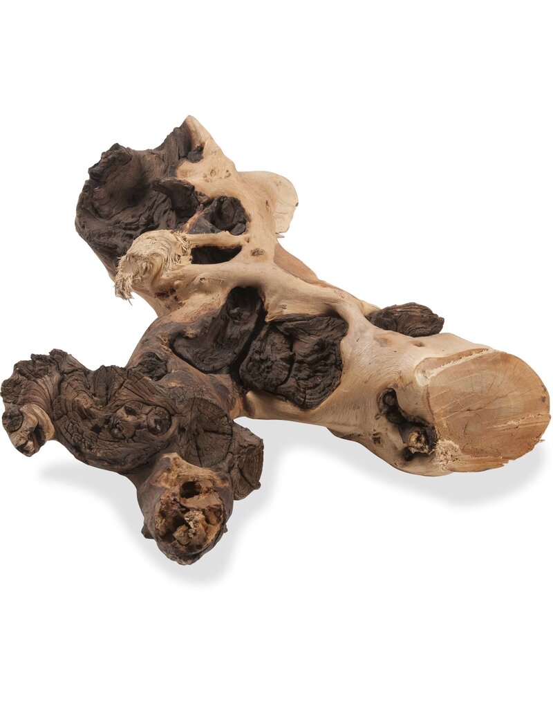 Zoo Med Zoo Med Natural Mopani Wood For Aquariums by the pound