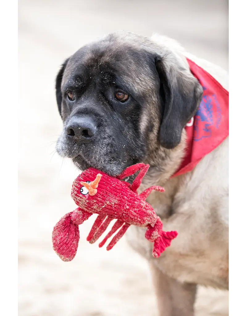 Huggle Hounds Huggle Hounds Knot Dog Toy Lobster 9 In
