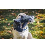 Huggle Hounds Huggle Hounds X Brace Raccoon 16 In