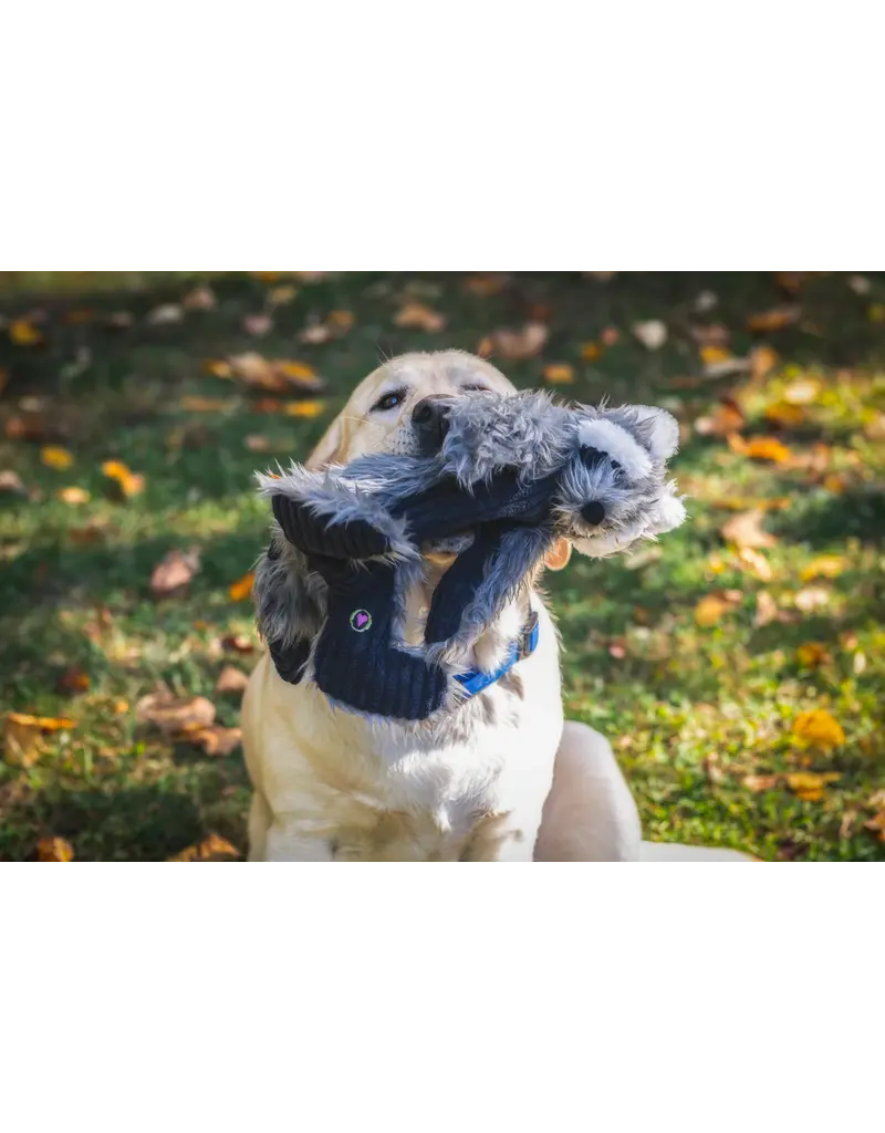 Huggle Hounds Huggle Hounds X Brace Raccoon 16 In