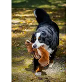 Huggle Hounds Huggle Hounds X Brace Moose 16 In