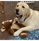 Huggle Hounds Huggle Hounds X Brace Moose 16 In