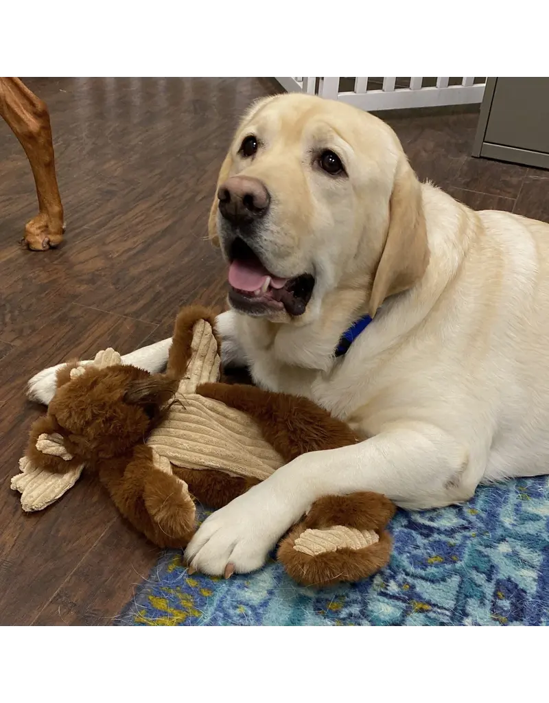 Huggle Hounds Huggle Hounds X Brace Moose 16 In