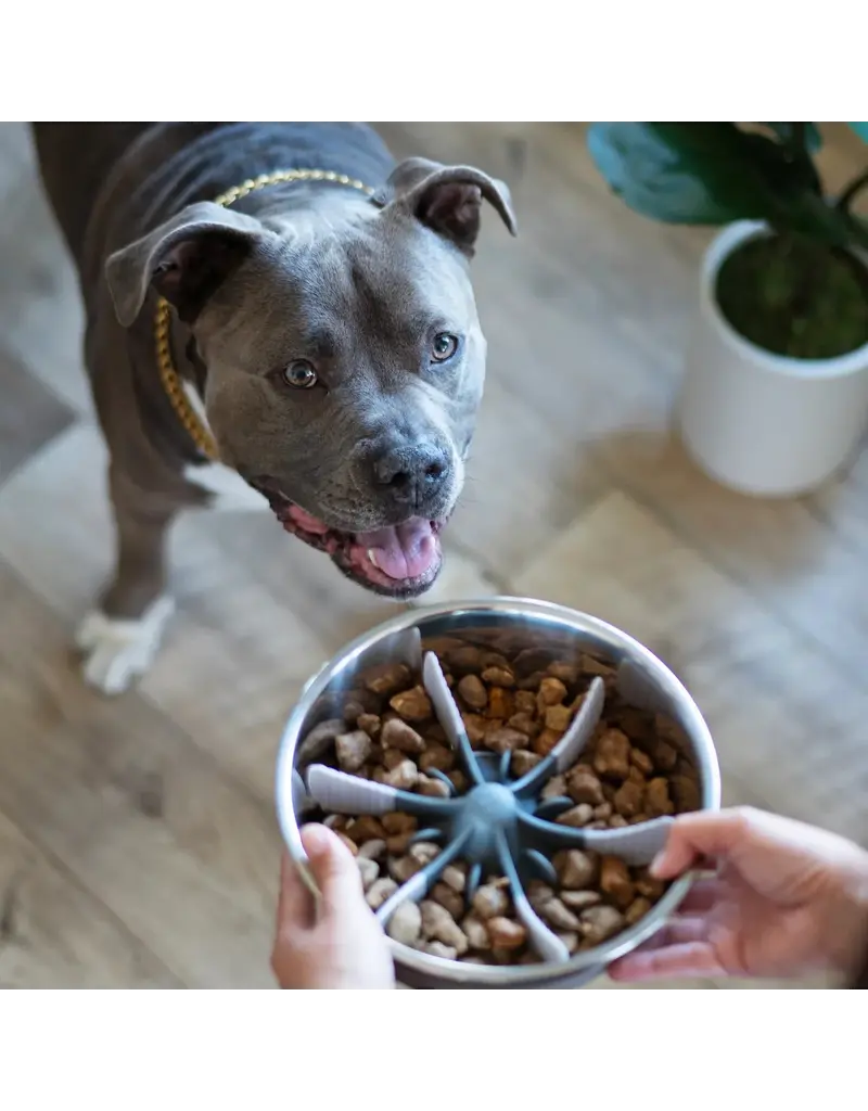 Messy Mutts Messy Mutts Slow Feeder Insert