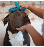 Messy Mutts Messy Mutts Dog Grooming Brush Blue