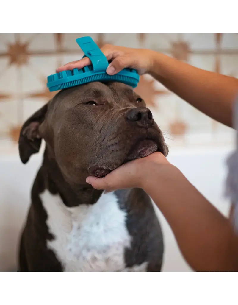 Messy Mutts Messy Mutts Dog Grooming Brush Blue