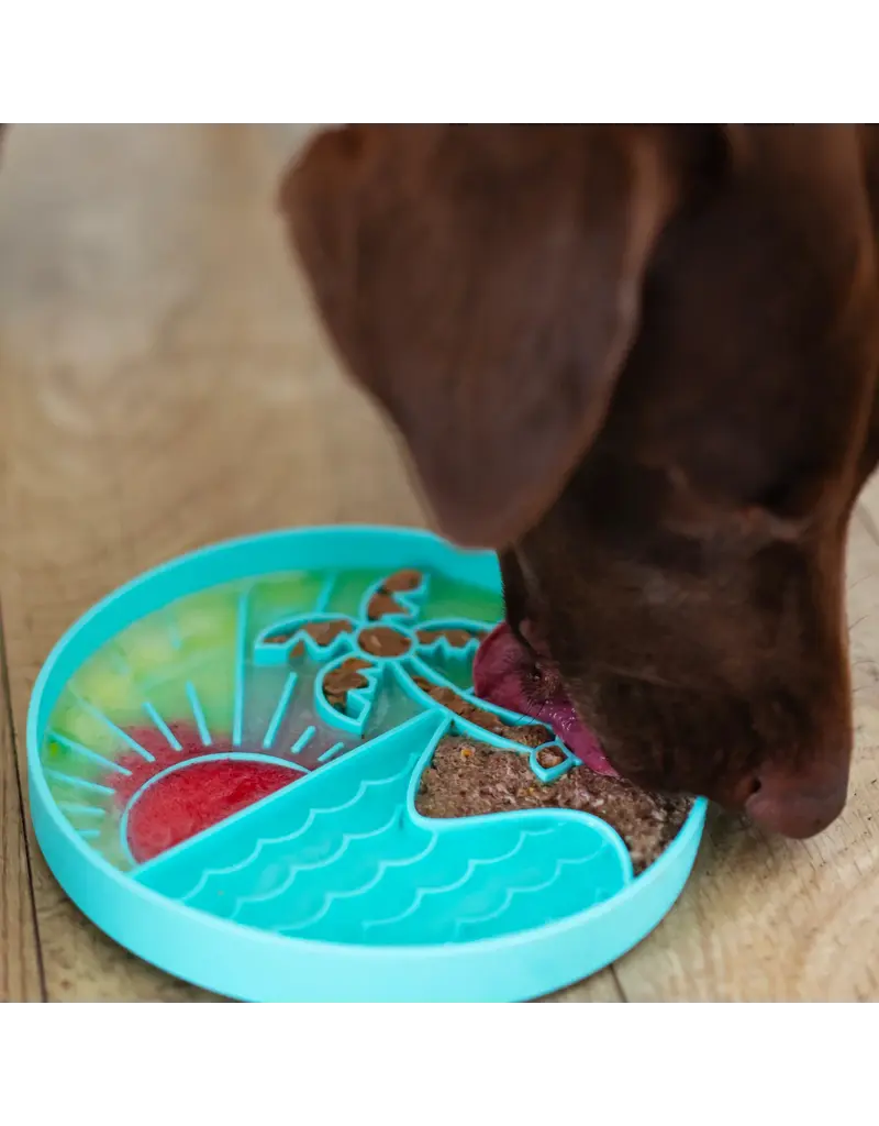 Messy Mutts Messy Mutts Therapeutic Interactive Lick Bowl Teal