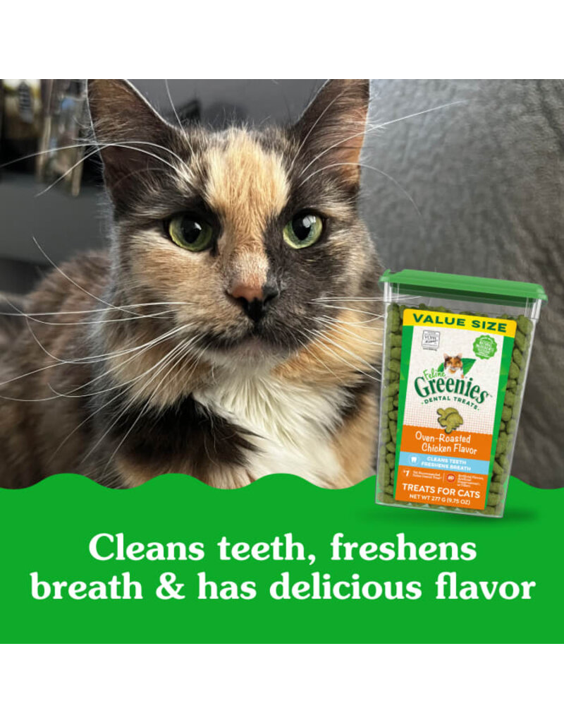 Greenies Greenies Feline Chicken Dental Treats
