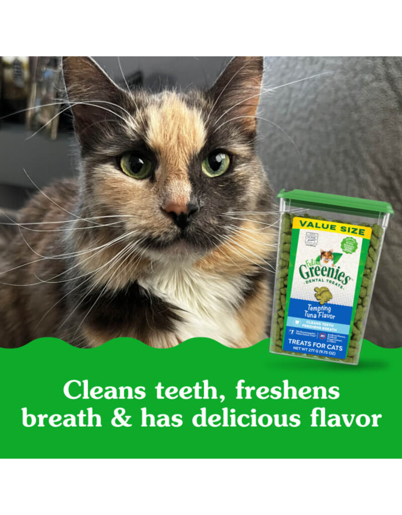Greenies Greenies Feline Tuna Dental Treats