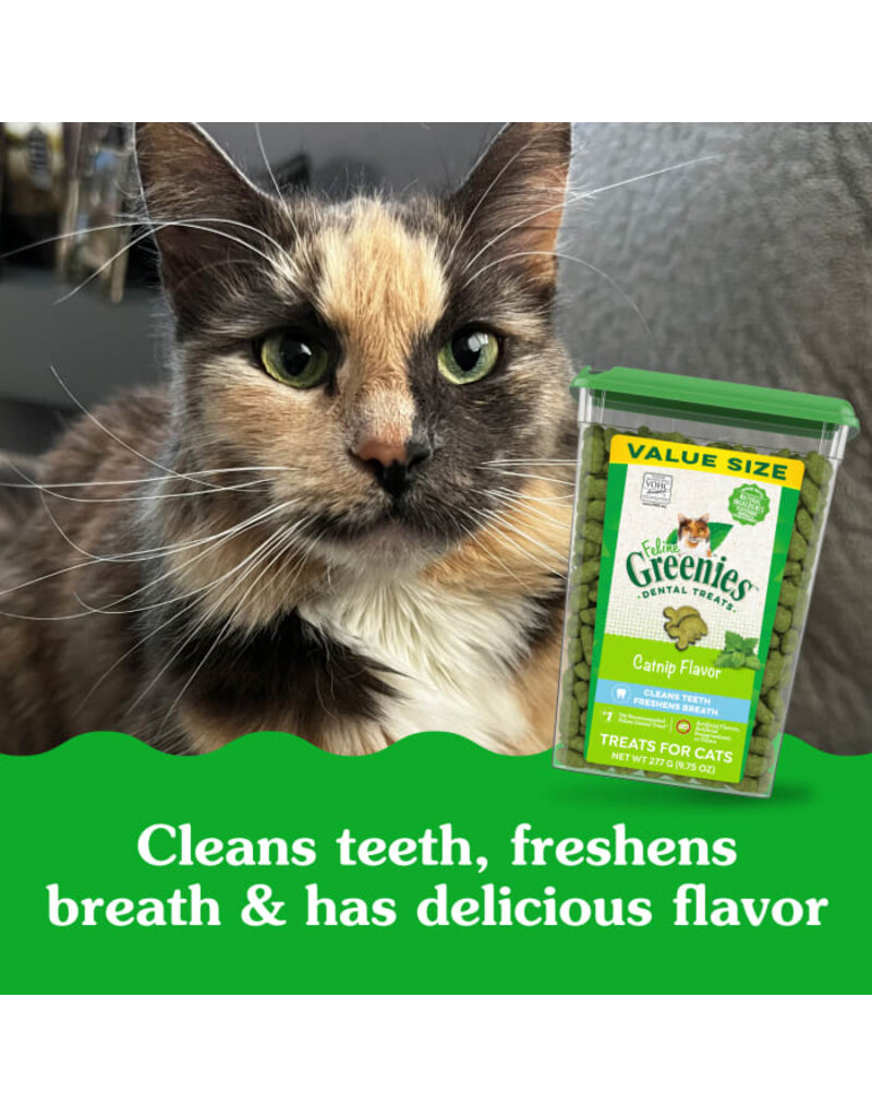 Greenies Greenies Feline Catnip Dental Treats