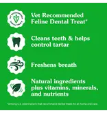 Greenies Greenies Feline Catnip Dental Treats