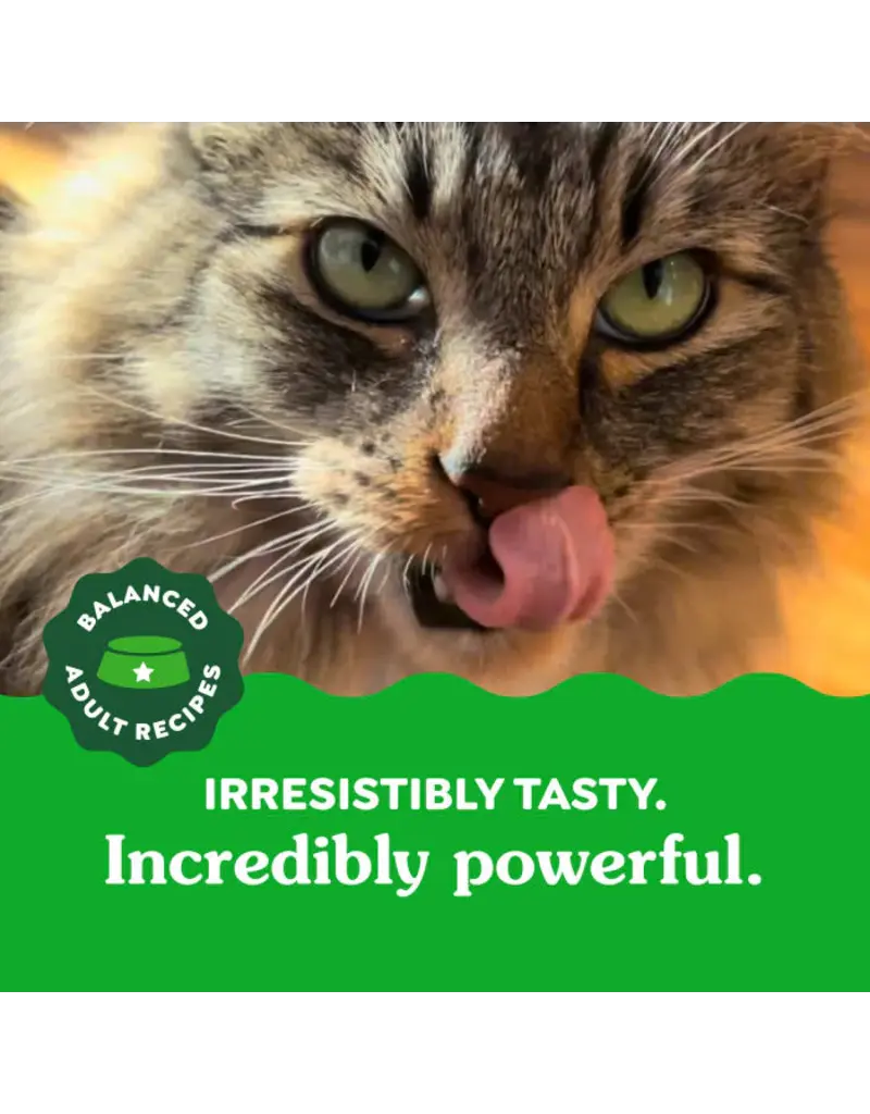 Greenies Greenies Feline Catnip Dental Treats