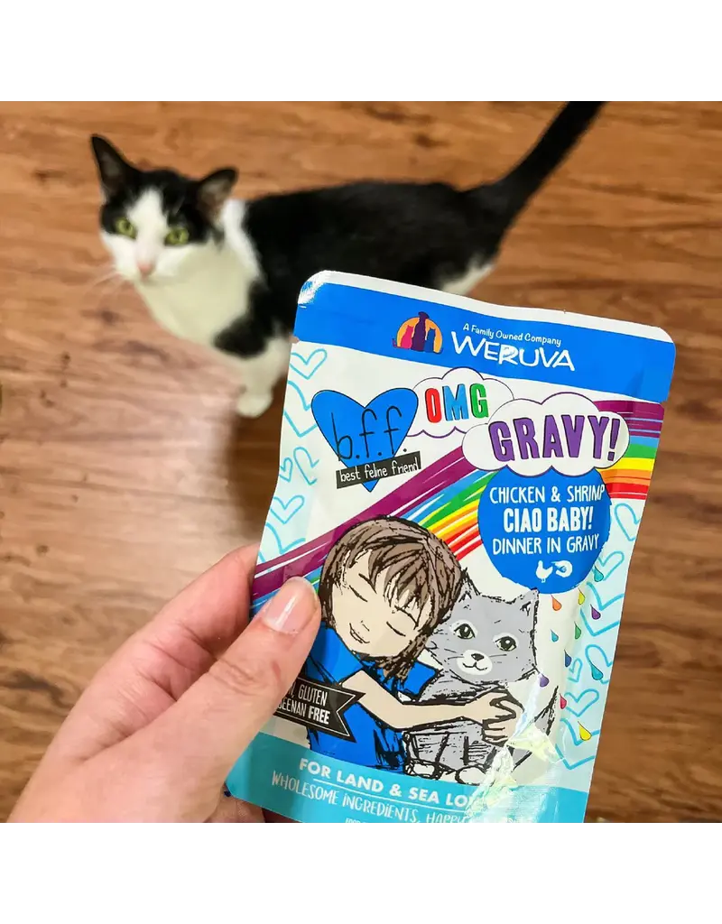 BFF BFF OMG Seeya Sooner Tuna & Chicken in Gravy Cat Food 2.8 Oz pouch