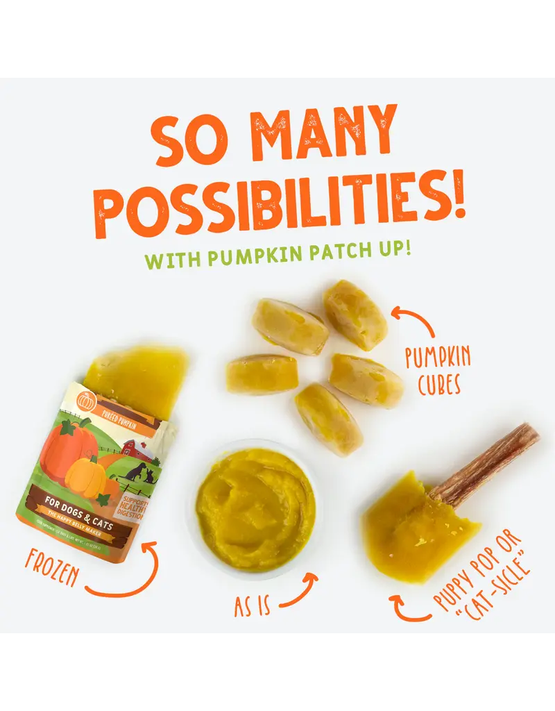 Weruva Weruva Pumpkin Patch Up Digestive Supplement 1.5 Oz pouch