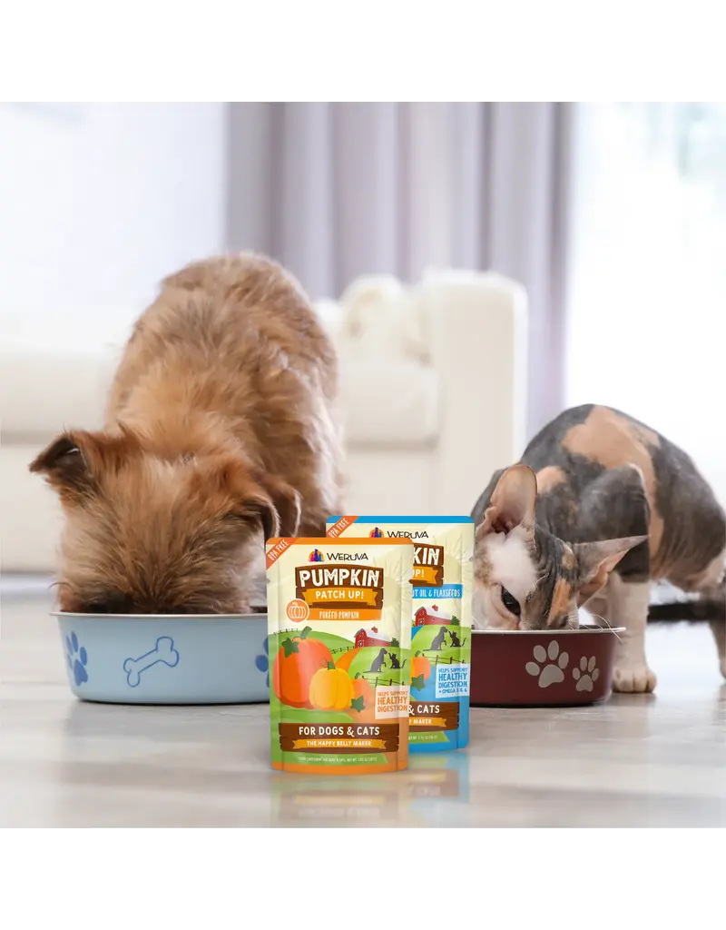 Weruva Weruva Pumpkin Patch Up Digestive Supplement 1.5 Oz pouch