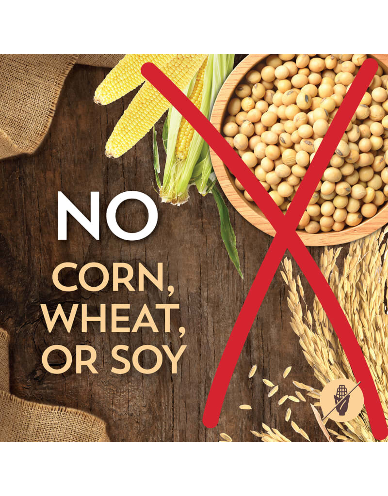 Wholesomes Wholesomes Lamb & Rice Adult Dog Food 40 lb