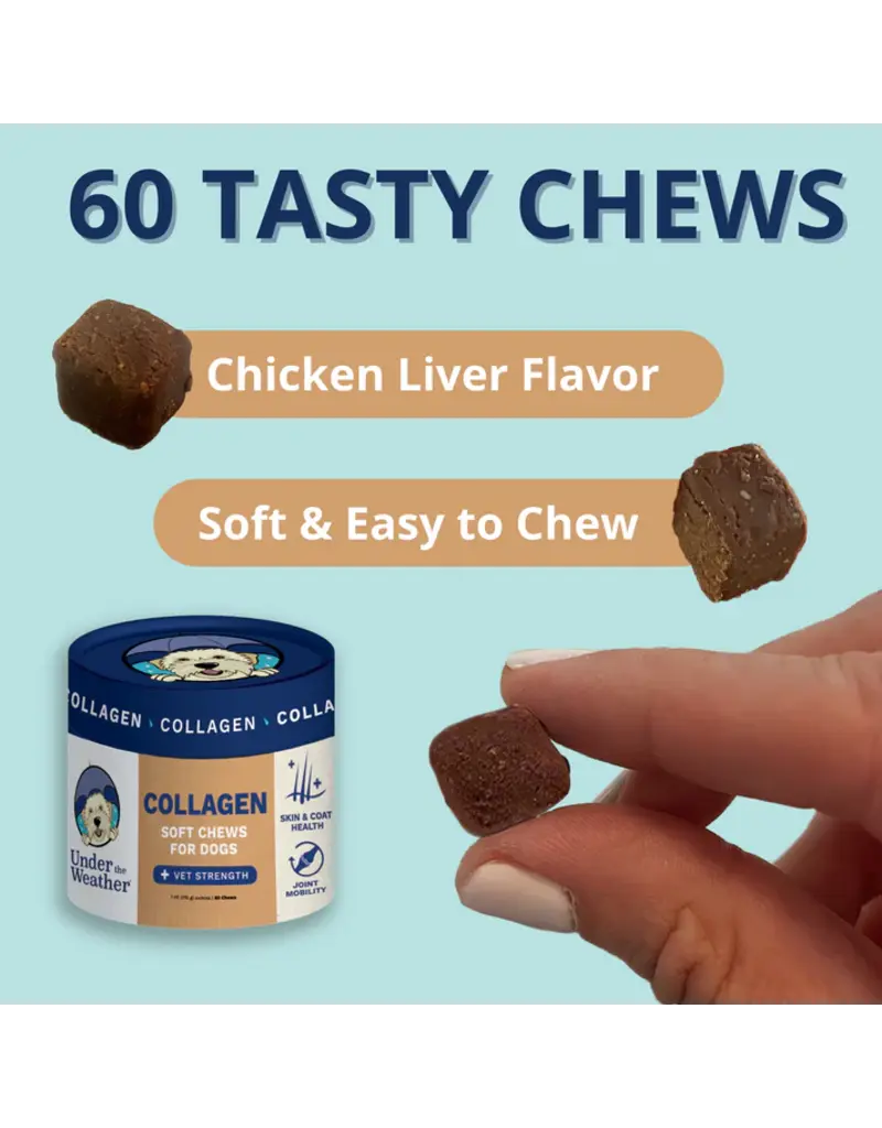 Under the Weather Under the Weather Collagen Soft Chew for Dogs 60 Ct