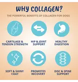 Under the Weather Under the Weather Collagen Soft Chew for Dogs 60 Ct