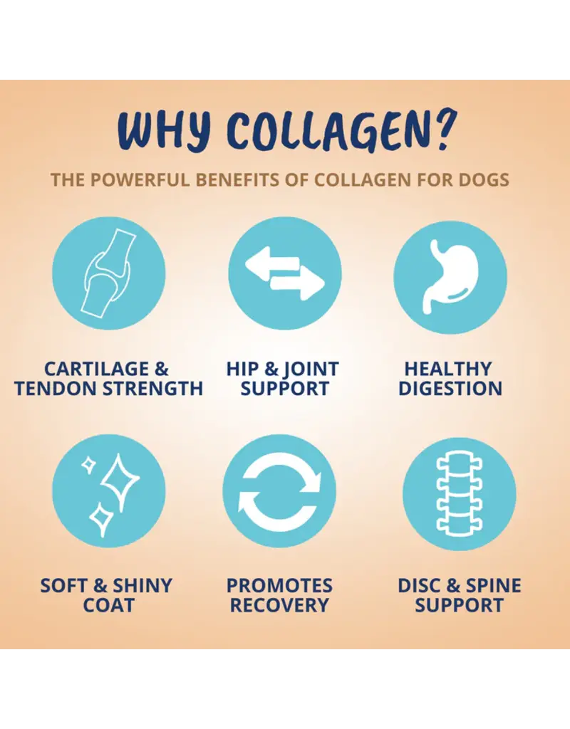 Under the Weather Under the Weather Collagen Soft Chew for Dogs 60 Ct