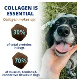 Under the Weather Under the Weather Collagen Soft Chew for Dogs 60 Ct