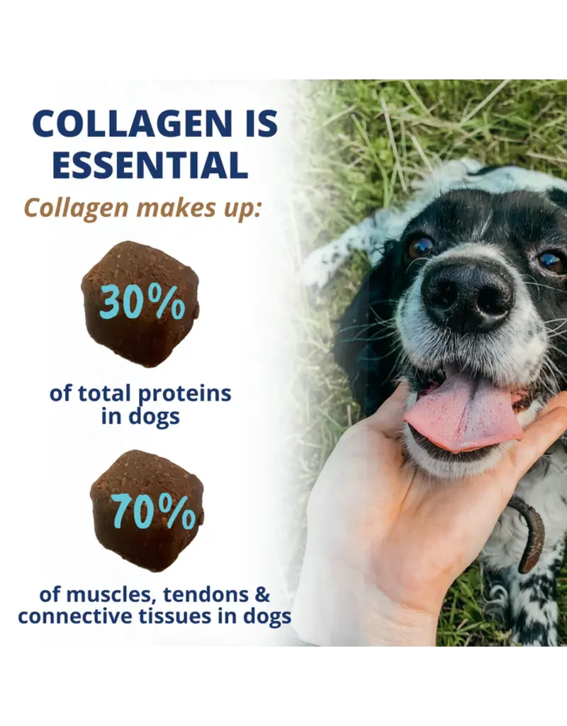 Under the Weather Under the Weather Collagen Soft Chew for Dogs 60 Ct