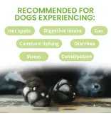 Under the Weather Under the Weather Ready Balance Probiotic Gel Tube for Dogs 3.5 Oz