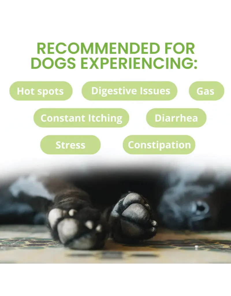 Under the Weather Under the Weather Ready Balance Probiotic Gel Tube for Dogs 3.5 Oz