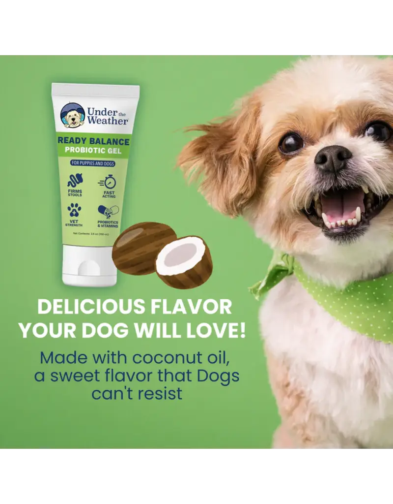 Under the Weather Under the Weather Ready Balance Probiotic Gel Tube for Dogs 3.5 Oz