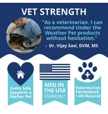 Under the Weather Under the Weather Ready Balance Probiotic Gel Tube for Dogs 3.5 Oz