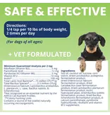 Under the Weather Under the Weather Ready Balance Probiotic Gel Tube for Dogs 3.5 Oz