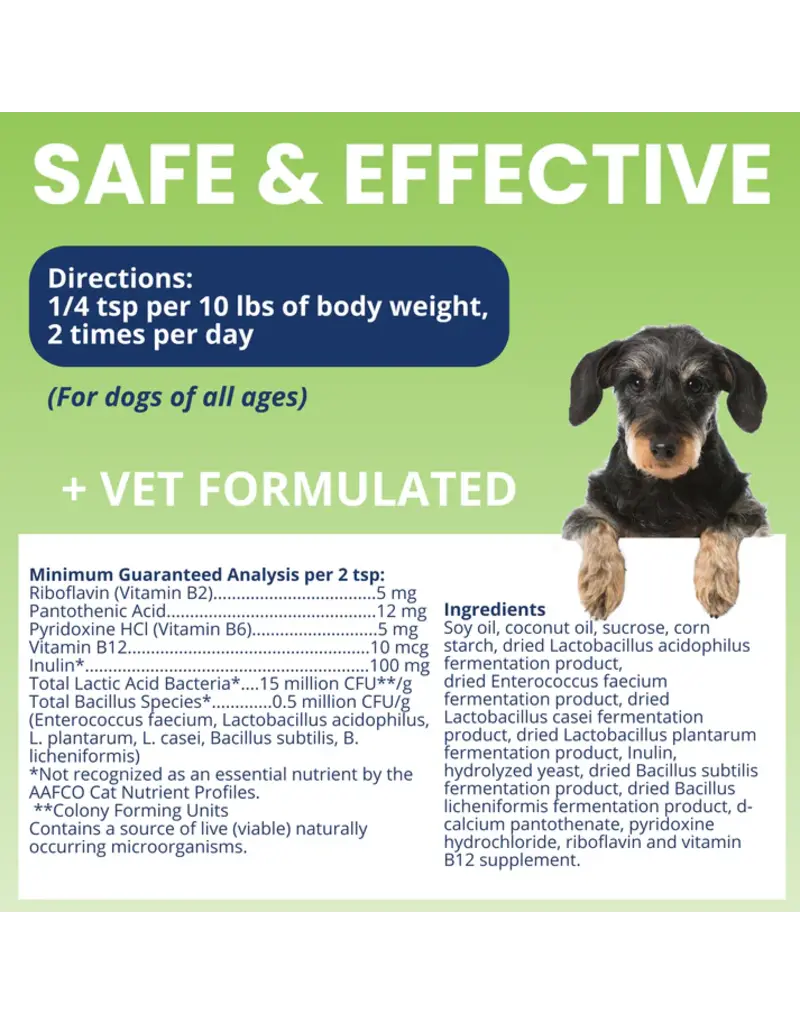 Under the Weather Under the Weather Ready Balance Probiotic Gel Tube for Dogs 3.5 Oz