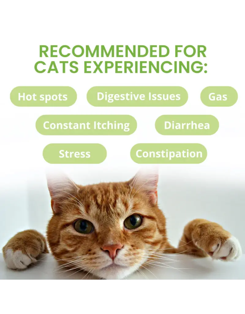 Under the Weather Under the Weather Ready Balance Probiotic Gel Tube for Cats 3.5 Oz