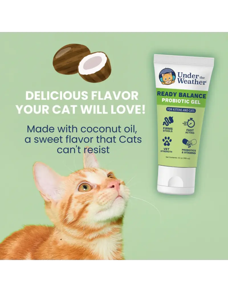 Under the Weather Under the Weather Ready Balance Probiotic Gel Tube for Cats 3.5 Oz