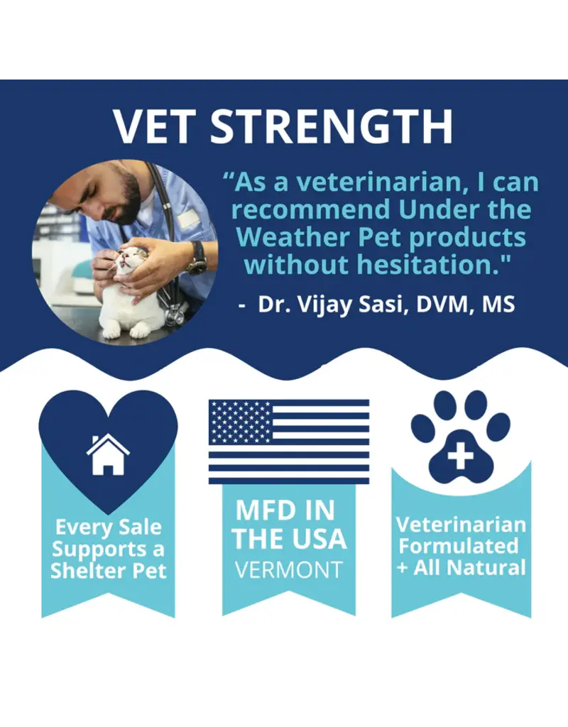 Under the Weather Under the Weather Ready Balance Probiotic Gel Tube for Cats 3.5 Oz