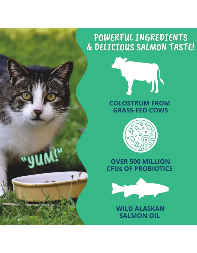 Under the Weather Under the Weather Colostrum Gel Tube for Cats 3.5 Oz