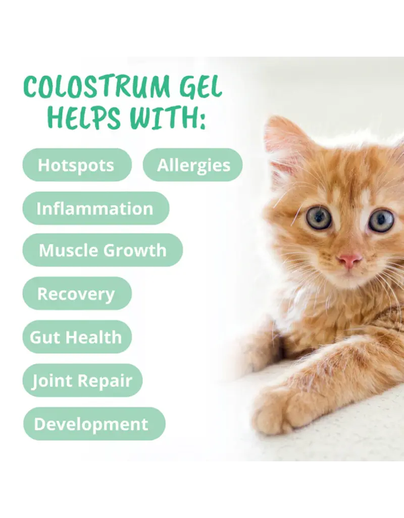 Under the Weather Under the Weather Colostrum Gel Tube for Cats 3.5 Oz