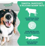 Under the Weather Under the Weather Colostrum Gel Tube for Dogs 3.5 Oz