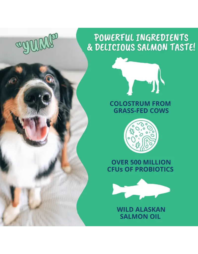 Under the Weather Under the Weather Colostrum Gel Tube for Dogs 3.5 Oz