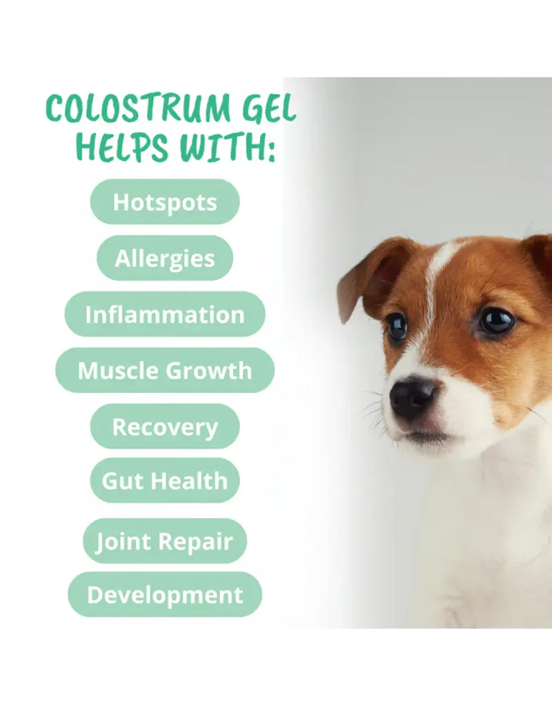 Under the Weather Under the Weather Colostrum Gel Tube for Dogs 3.5 Oz