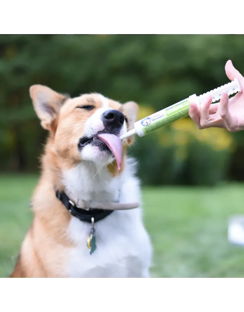 Under the Weather Under the Weather Ready Balance Probiotic for Dogs 30cc