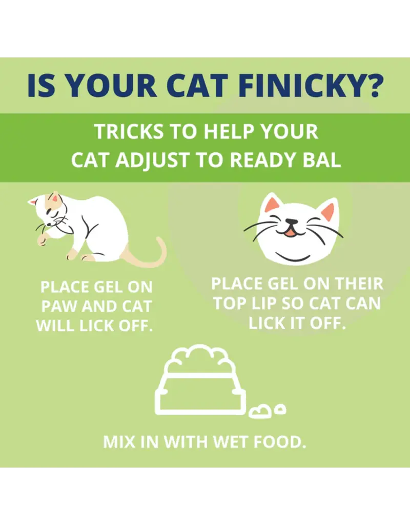 Under the Weather Under the Weather Ready Balance Cat Probiotic 30cc