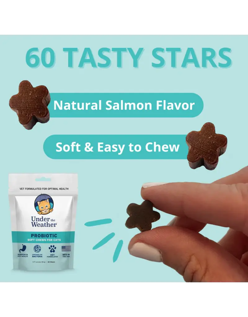 Under the Weather Under the Weather Cat Probiotic Soft Chews 60ct