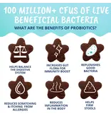 Under the Weather Under the Weather Cat Probiotic Soft Chews 60ct