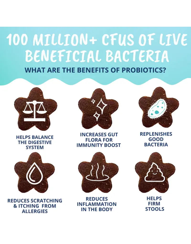 Under the Weather Under the Weather Cat Probiotic Soft Chews 60ct