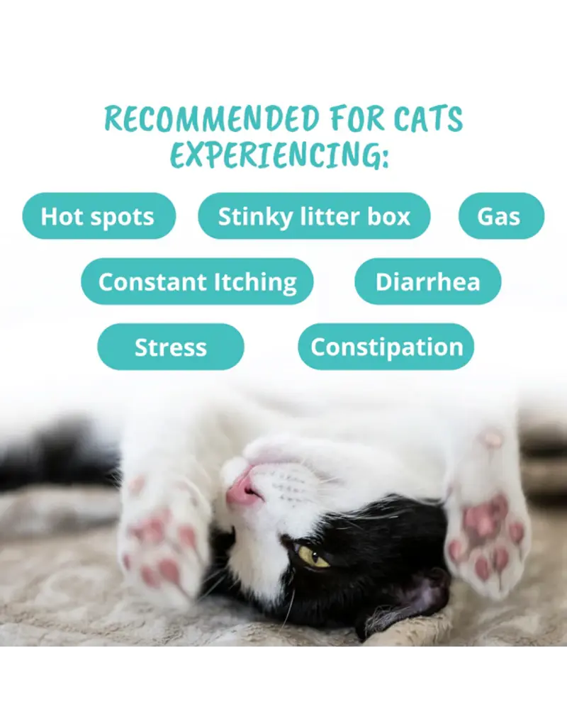 Under the Weather Under the Weather Cat Probiotic Soft Chews 60ct